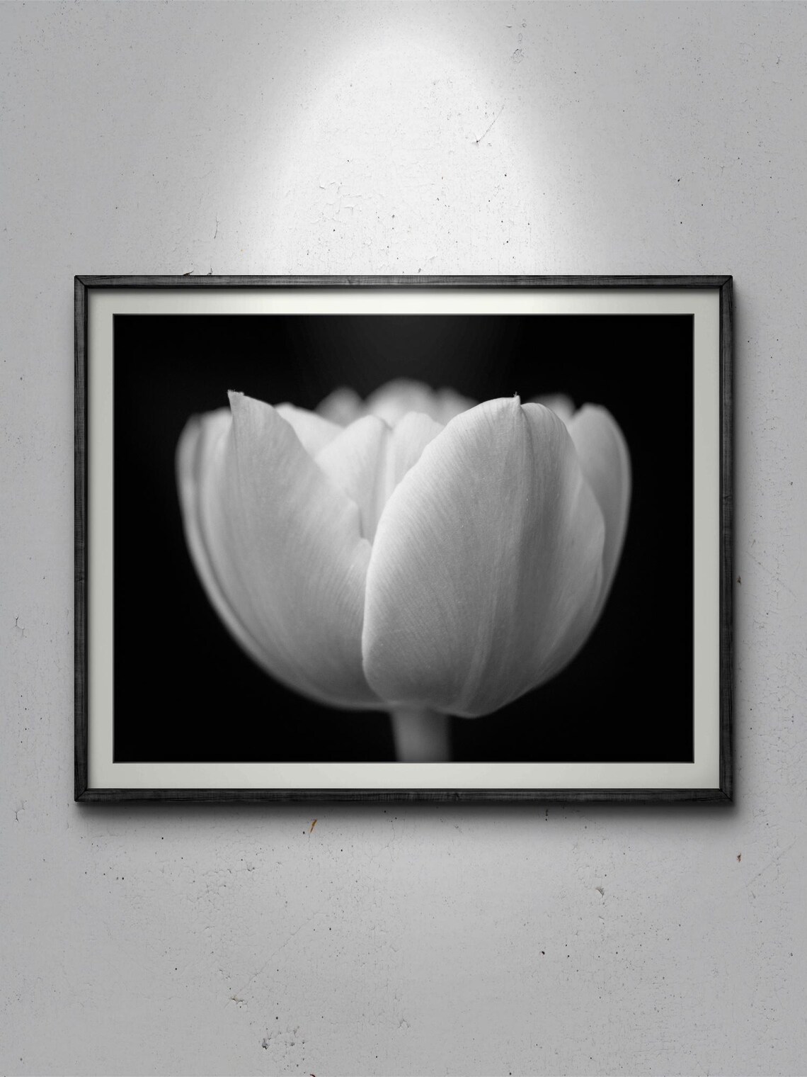 Tulip Close Up, Elegant Floral Art Print - Image 3
