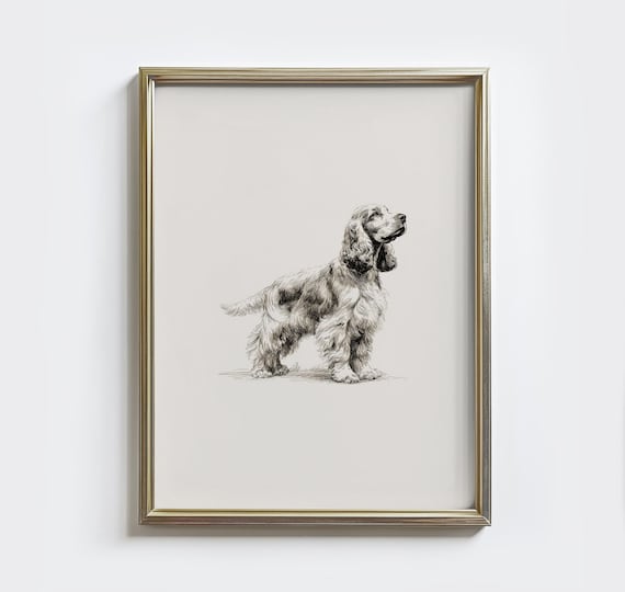Vintage Cocker Spaniel Sketch Art Print, Farmhouse Nursery