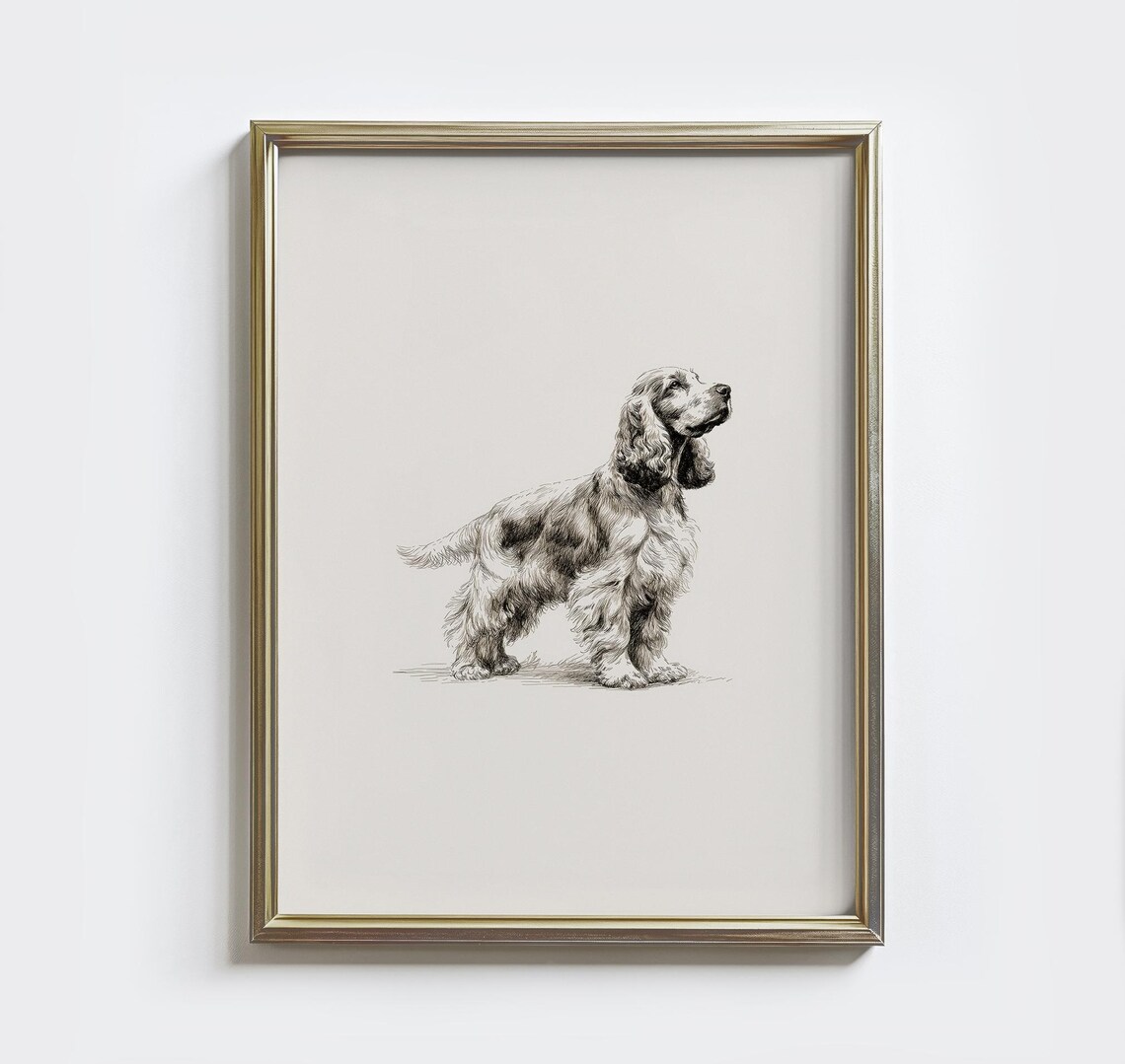 Vintage Cocker Spaniel Sketch Art Print, Farmhouse Nursery