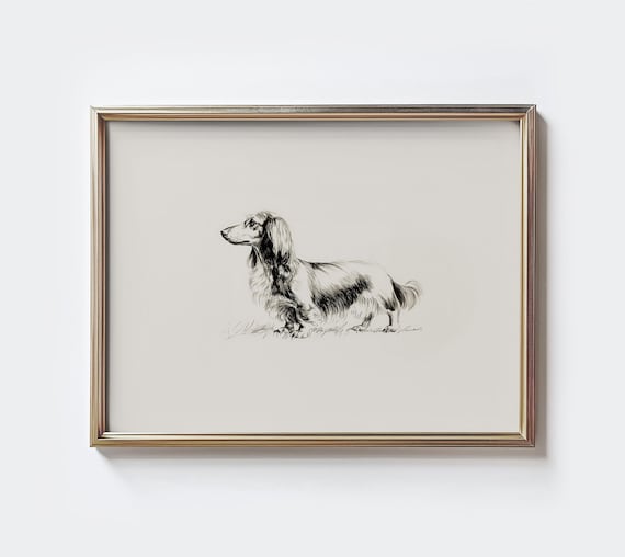 Longhaired Dachshund Sketch, Minimalist Dog Art Print