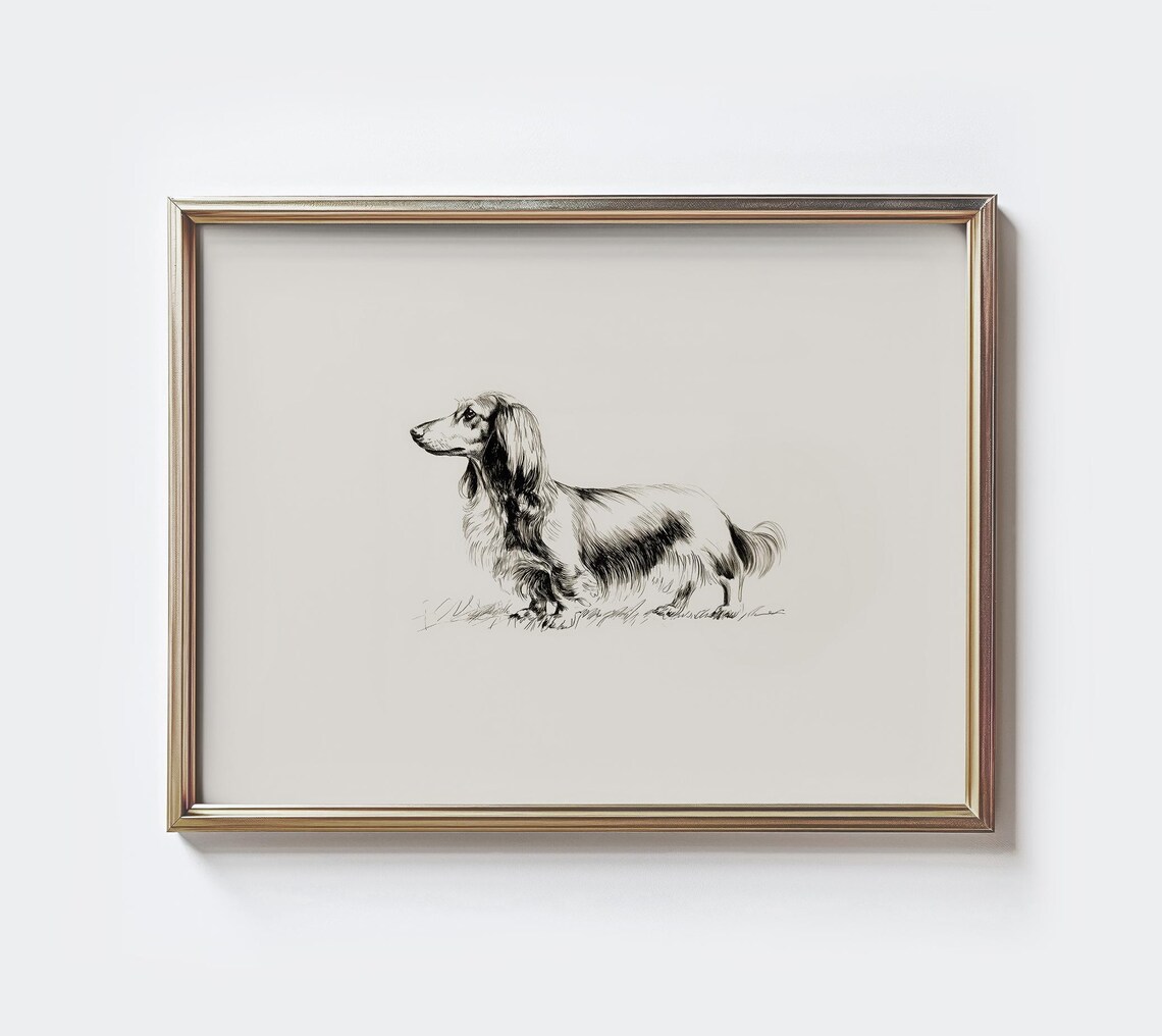 Longhaired Dachshund Sketch, Minimalist Dog Art Print
