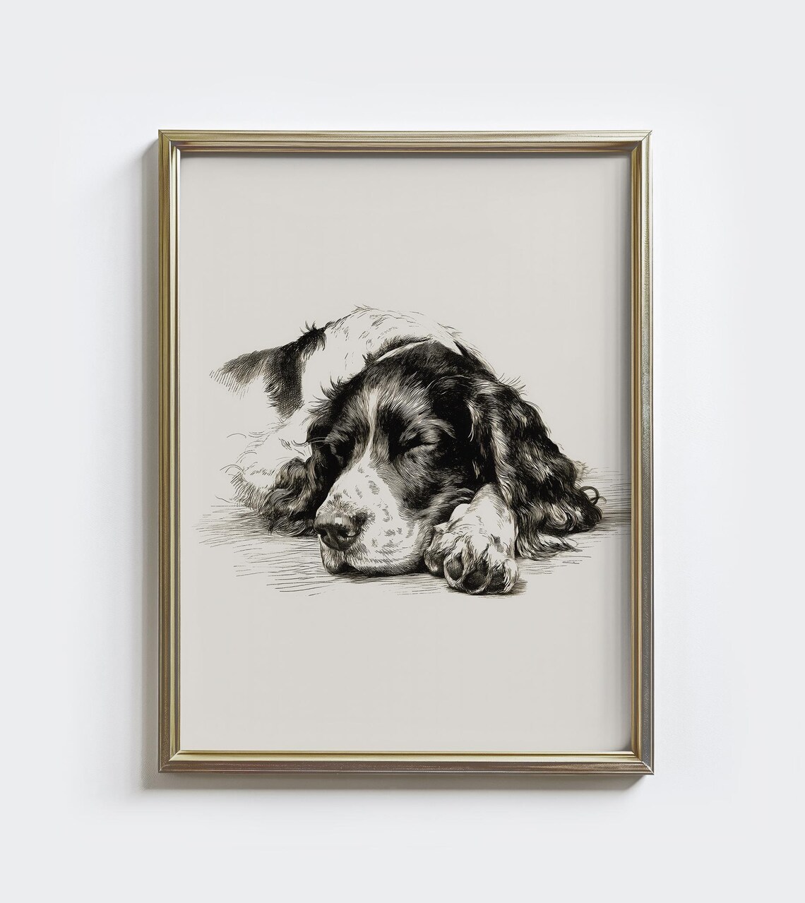 Vintage Springer Spaniel Sketch Art Print