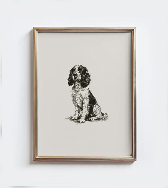 Springer Spaniel Sketch Print, Vintage Dog Drawing
