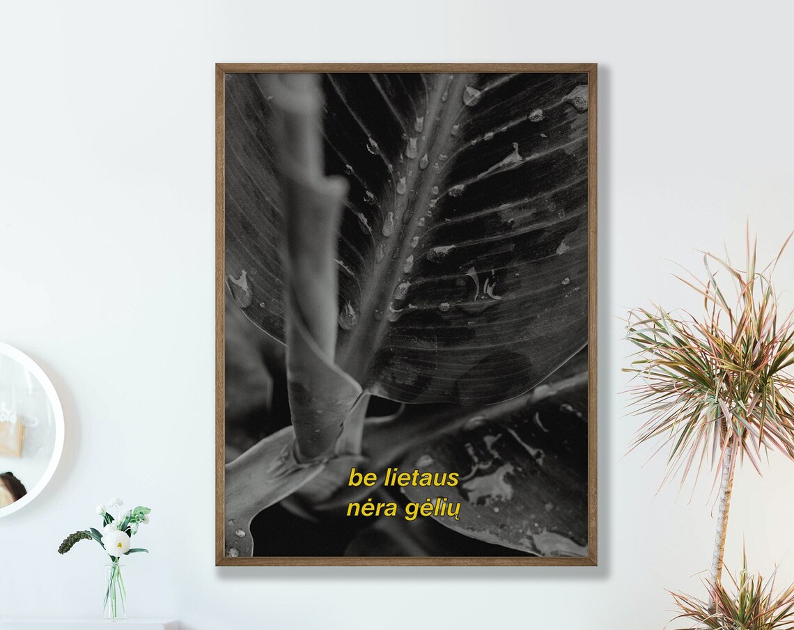 No Flowers Without Rain Lithuanian Quote Leaf Photo Wall Art
