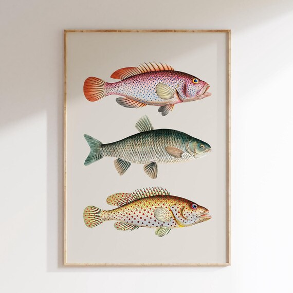 Vintage Style Fish Kitchen Wall Art