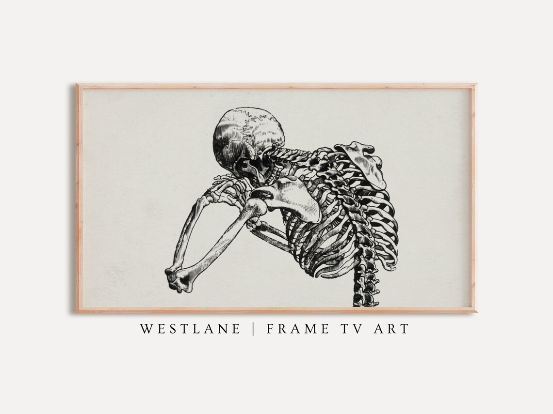 Vintage Anatomical Skeleton Sketch Gothic Dark Academia Wall Art Poster
