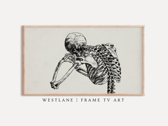 Vintage Anatomical Skeleton Sketch Gothic Dark Academia Wall Art Poster