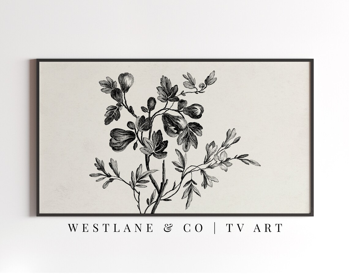 Vintage Botanical Drawing, Neutral Farmhouse Decor