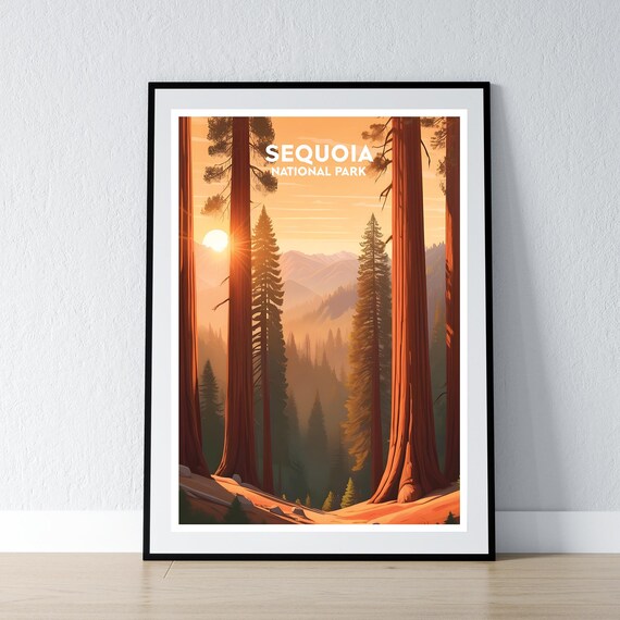 Sequoia National Park Sunset Among Giant Trees Travel Poster