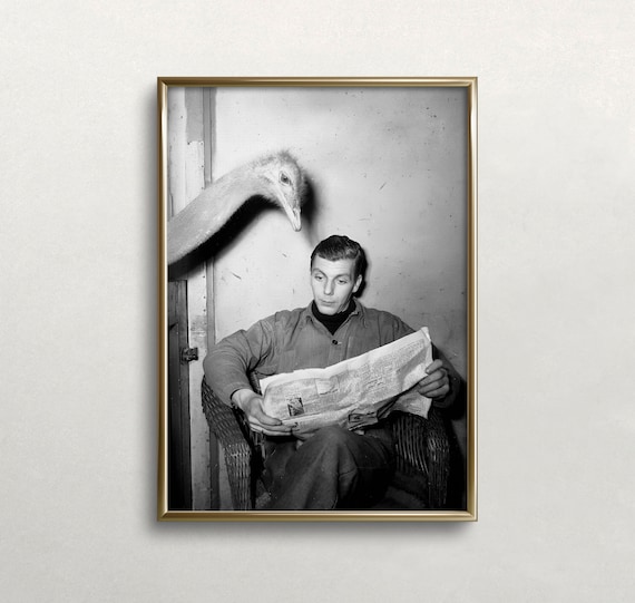 Ostrich Wall Art Black And White Art Man Reading Newspaper Vintage Wall Art Old Photo Funny Art Wall Art