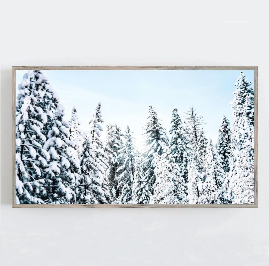Tall Snow Covered Evergreen Trees Blue Sky Winter Forest Photo Poster
