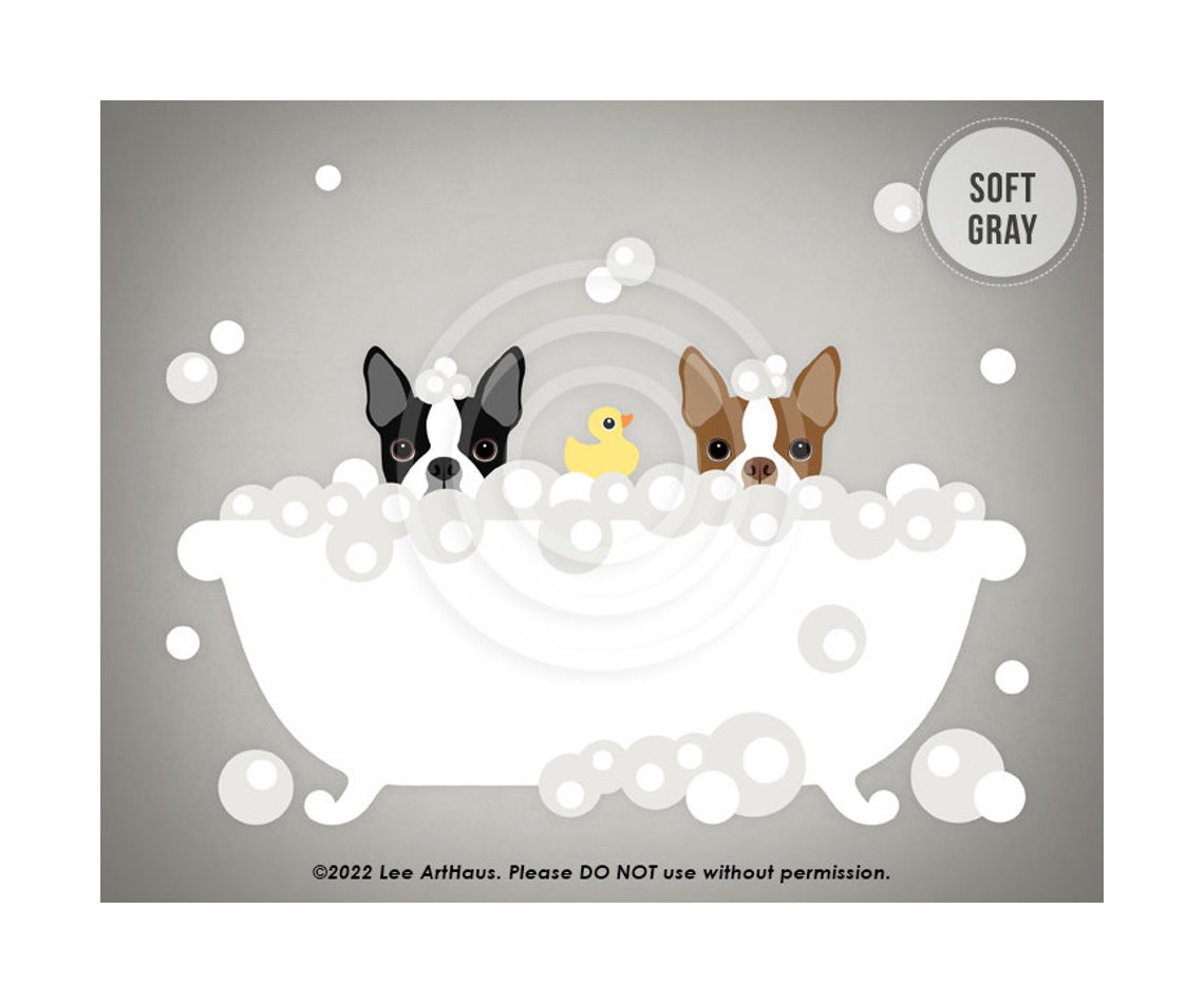 Two Boston Terriers Peeking Bubble Bath Duck Teal Bathroom Dog Poster - Image 3