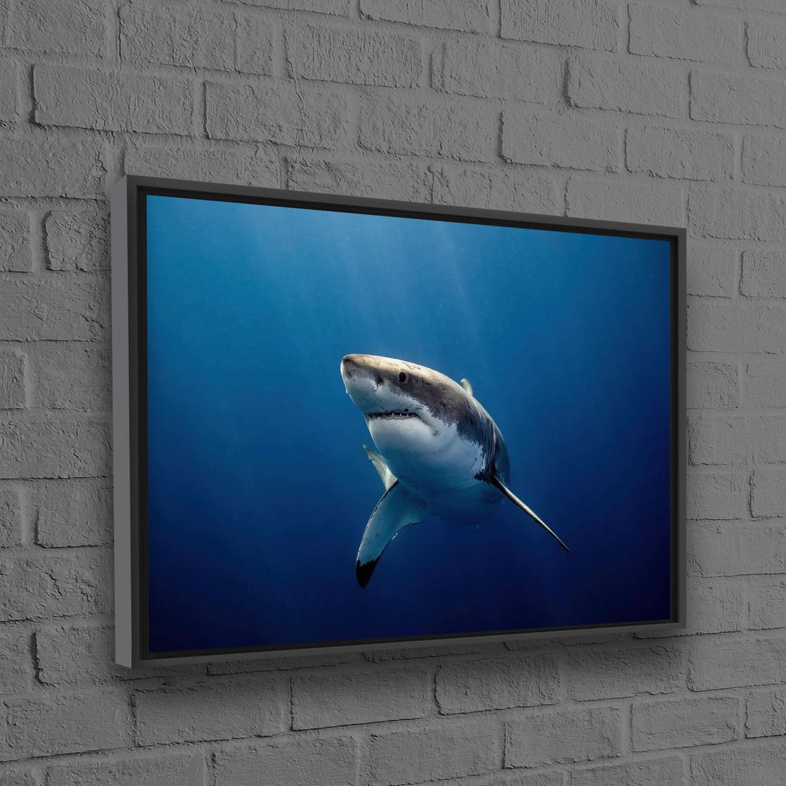 Great White Shark Swimming Deep Blue Ocean Wildlife Photo Poster
