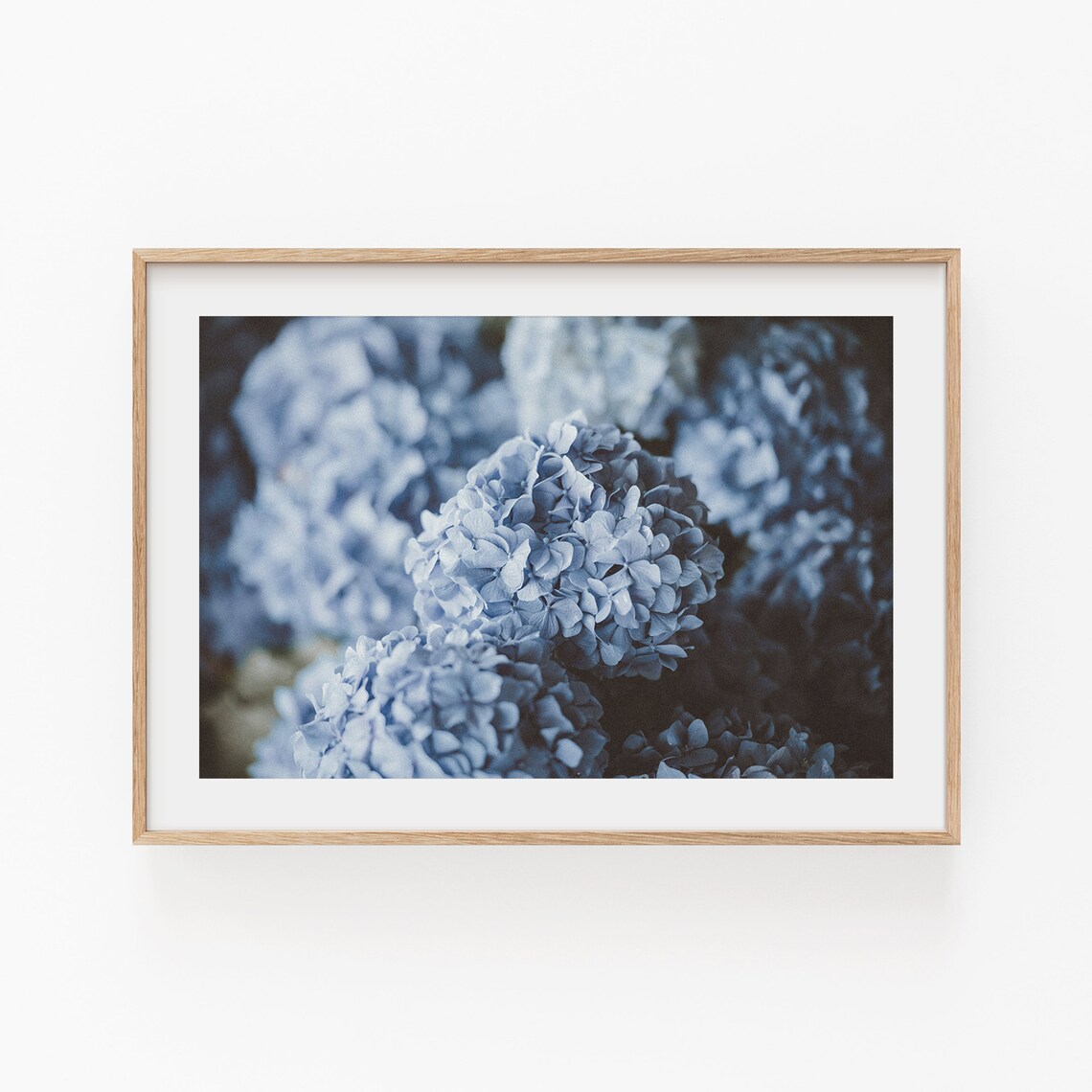 Blue Flowers Botanical Art Print, Minimalist Floral Decor