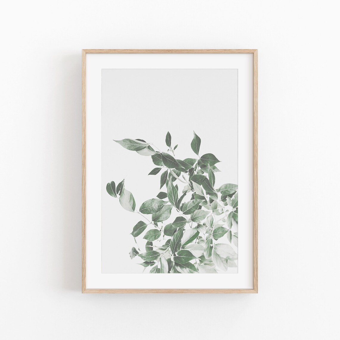 Eucalyptus Botanical Poster Wall Art Print