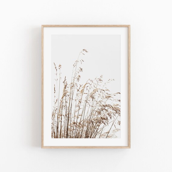 Pampas Grass Farmhouse Art Print, Rustic Decor