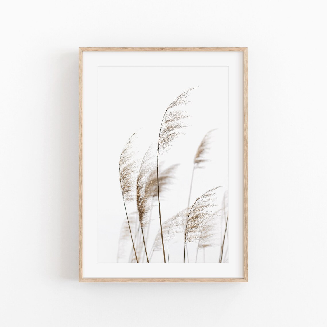 Pampas Grass Art Print, Farmhouse Rustic Decor