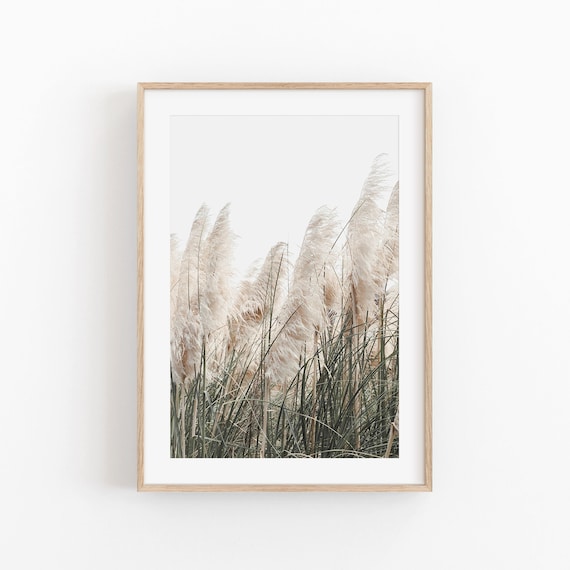 Pampas Grass Farmhouse Rustic Decor Art Print