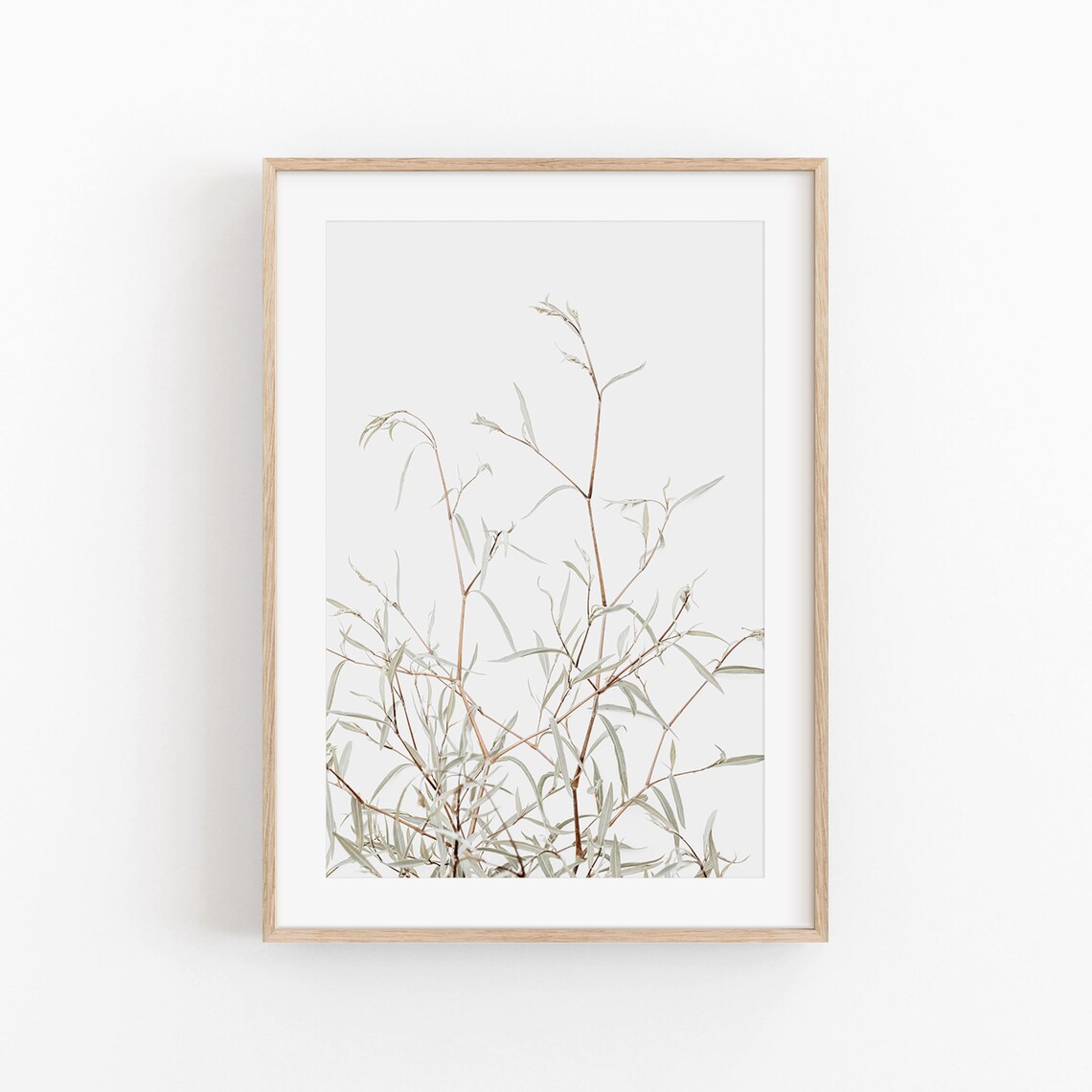 Botanical Art Print, Modern Minimalist Decor
