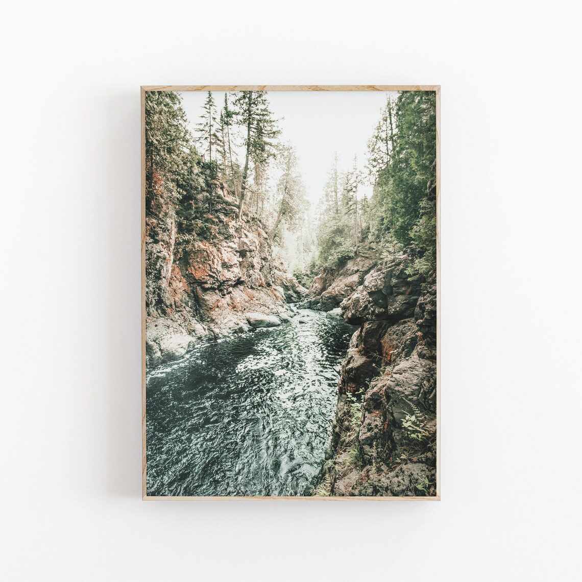 Fog Tree Forest Art Print, Nature Landscape