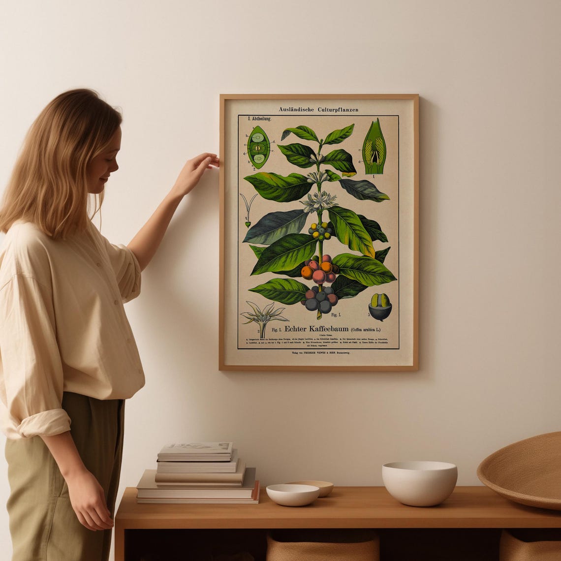 Vintage Coffee Tree Botanical Chart Scientific Illustration Poster - Image 2