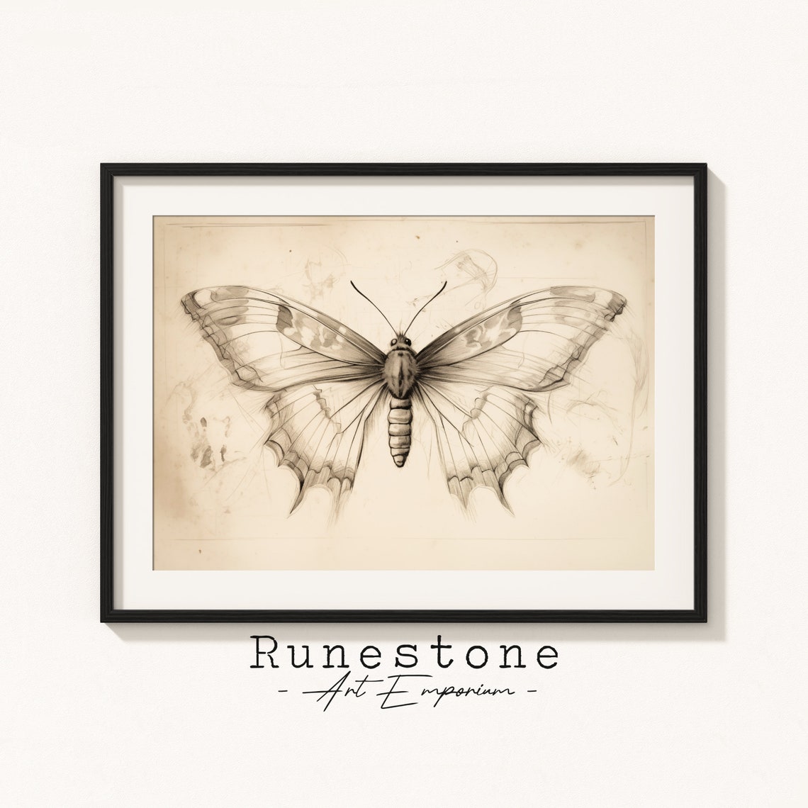 Vintage Moth Illustration Detailed Insect Sketch Dark Academia Poster