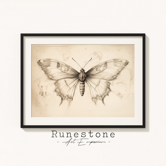 Vintage Moth Illustration Insect Sketch Dark Moody Wall Art Minimal Artwork Neutral Pencil Drawing Print