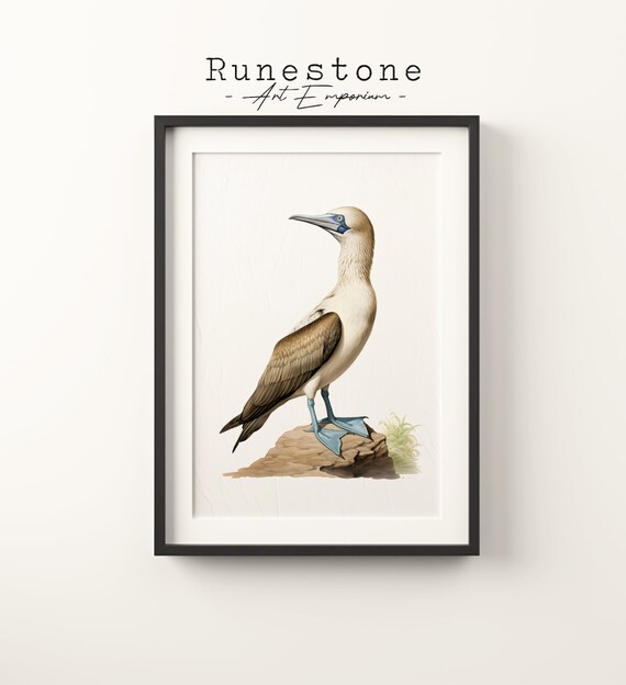 Vintage Blue-Footed Booby Art Print, Boho Sketch