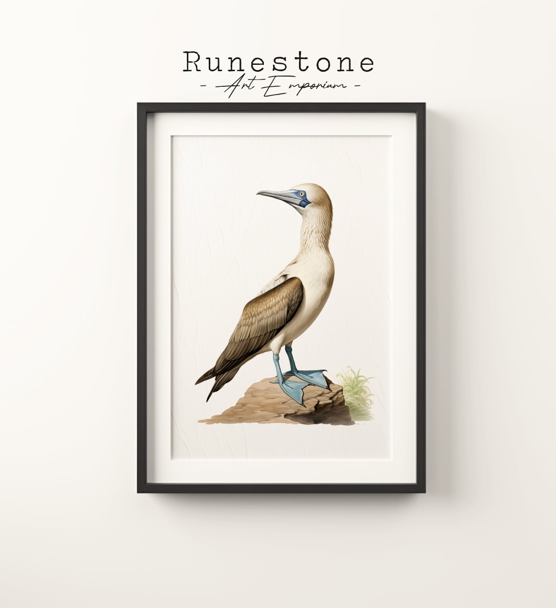 Vintage Blue-Footed Booby Art Print, Boho Sketch