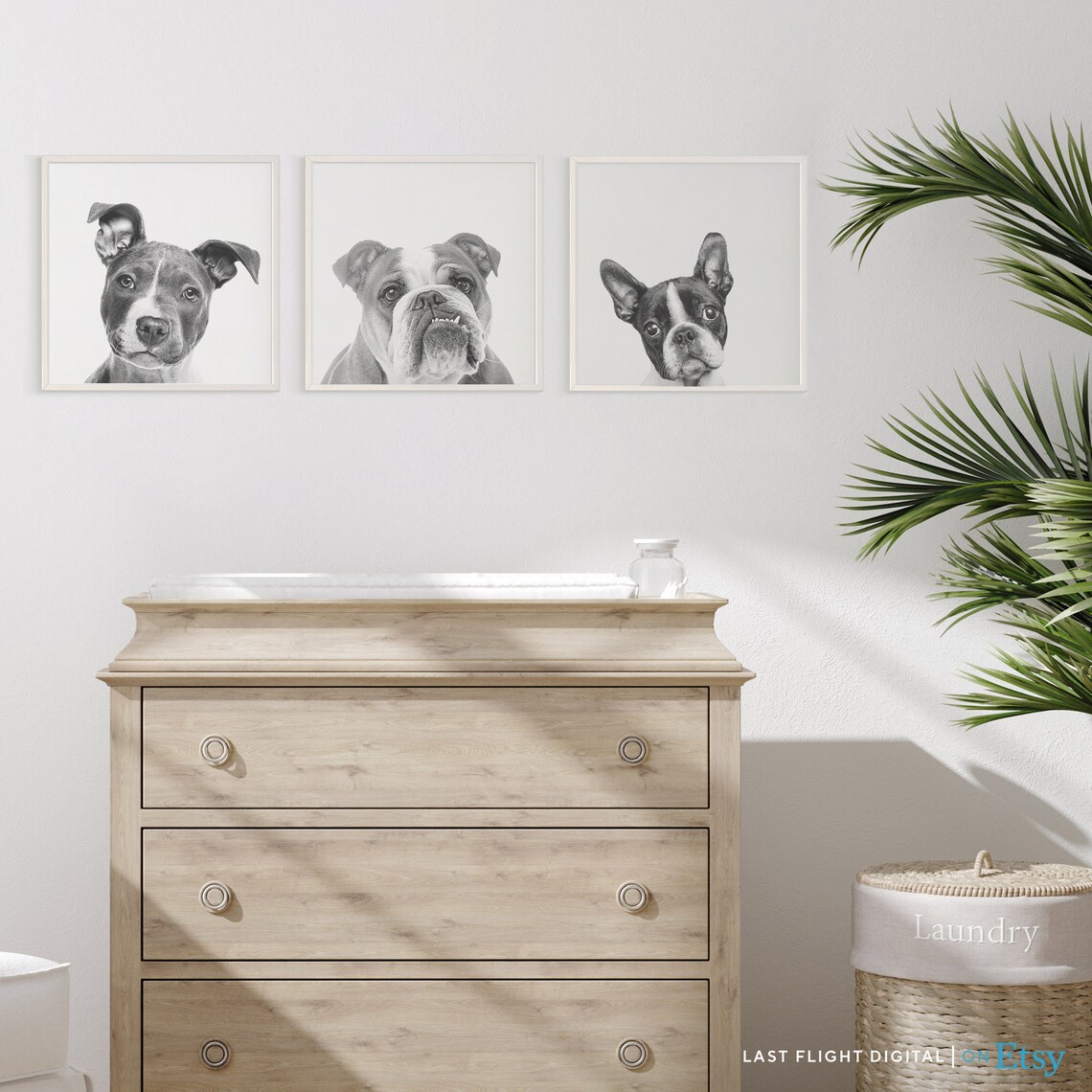 English Bulldog Dog Black White Photo Pet Portrait Wall Poster - Image 2