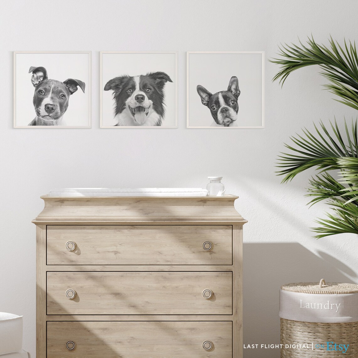 Border Collie Dog Poster, Kids Room Wall Art Print - Image 2
