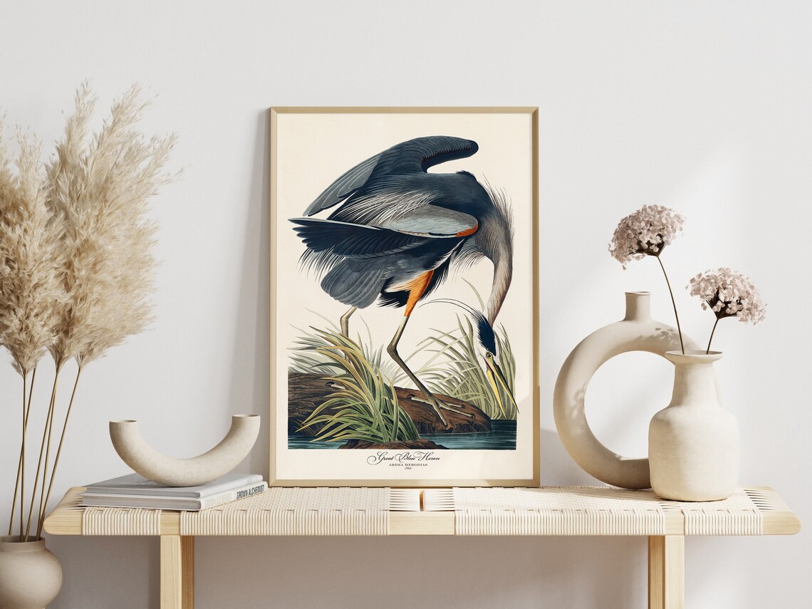 Audubon White Heron Vintage Retro Art Print Set - Image 7