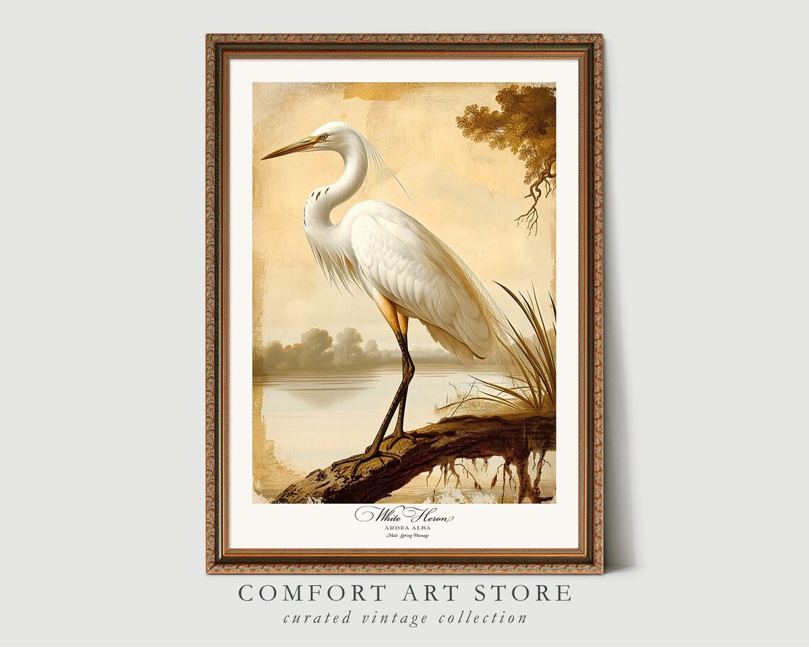 White Heron Bird Print, Vintage Nature Poster - Image 8