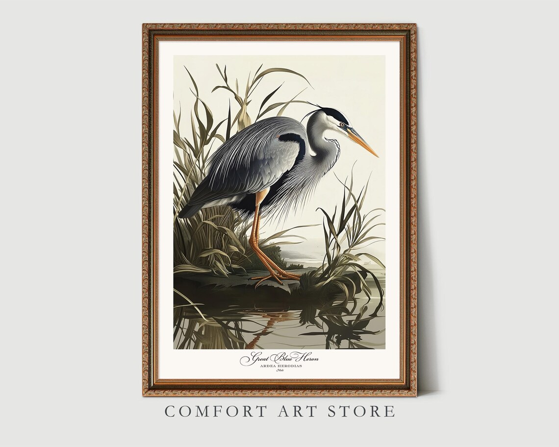 Audubon-Style Great Blue Heron Art Print, Vintage - Image 2