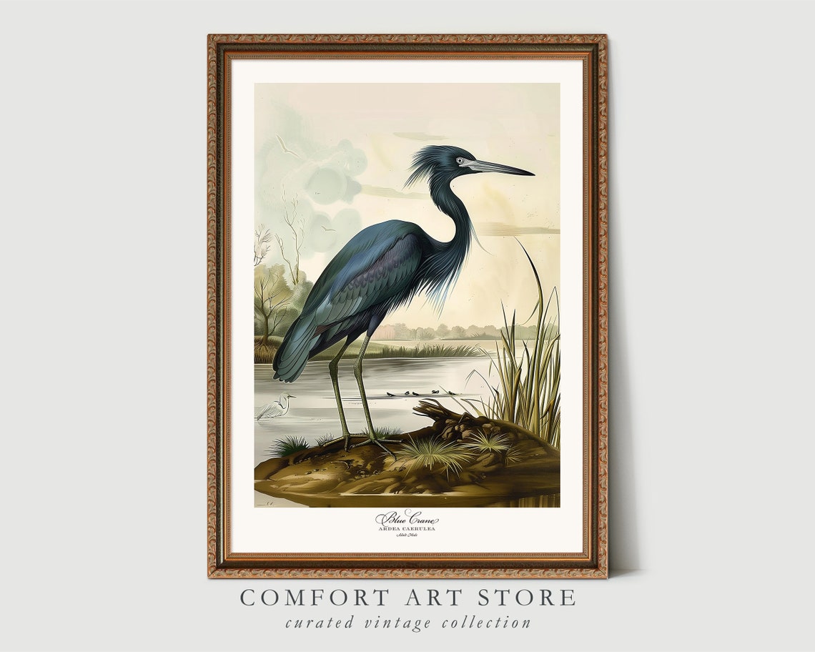 Blue Crane Heron in the Marsh Vintage Audubon Bird Art Poster - Image 4
