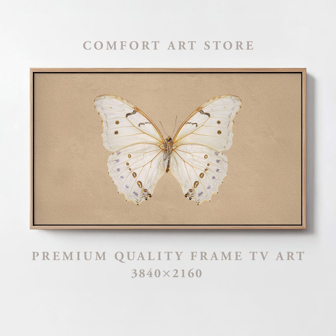 White Butterfly Specimen Vintage Entomology Frame TV Art Nature Poster