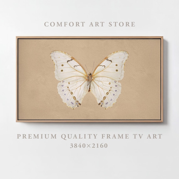 Valentines Day Frame Tv Art Frame Tv Antique Butterfly Frame Tv Vintage Valentines Insect Butterfly Painting Moody Home Dcor Tv Art