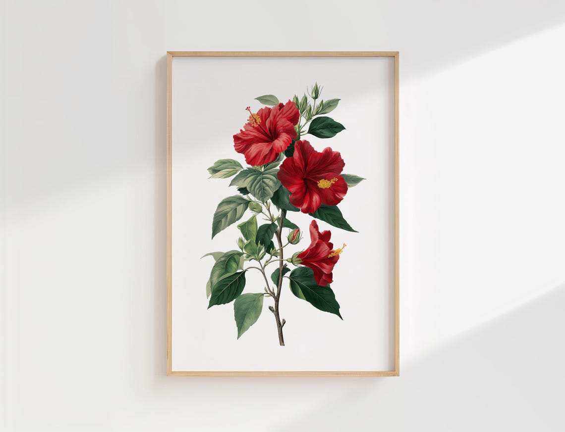 Vintage Red Hibiscus Botanical Illustration Tropical Flower Poster