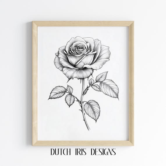 Elegant Black Line Single Rose Drawing Bold Floral Art Print Minimalist Botanical Wall Decor Vintage Artwork 504