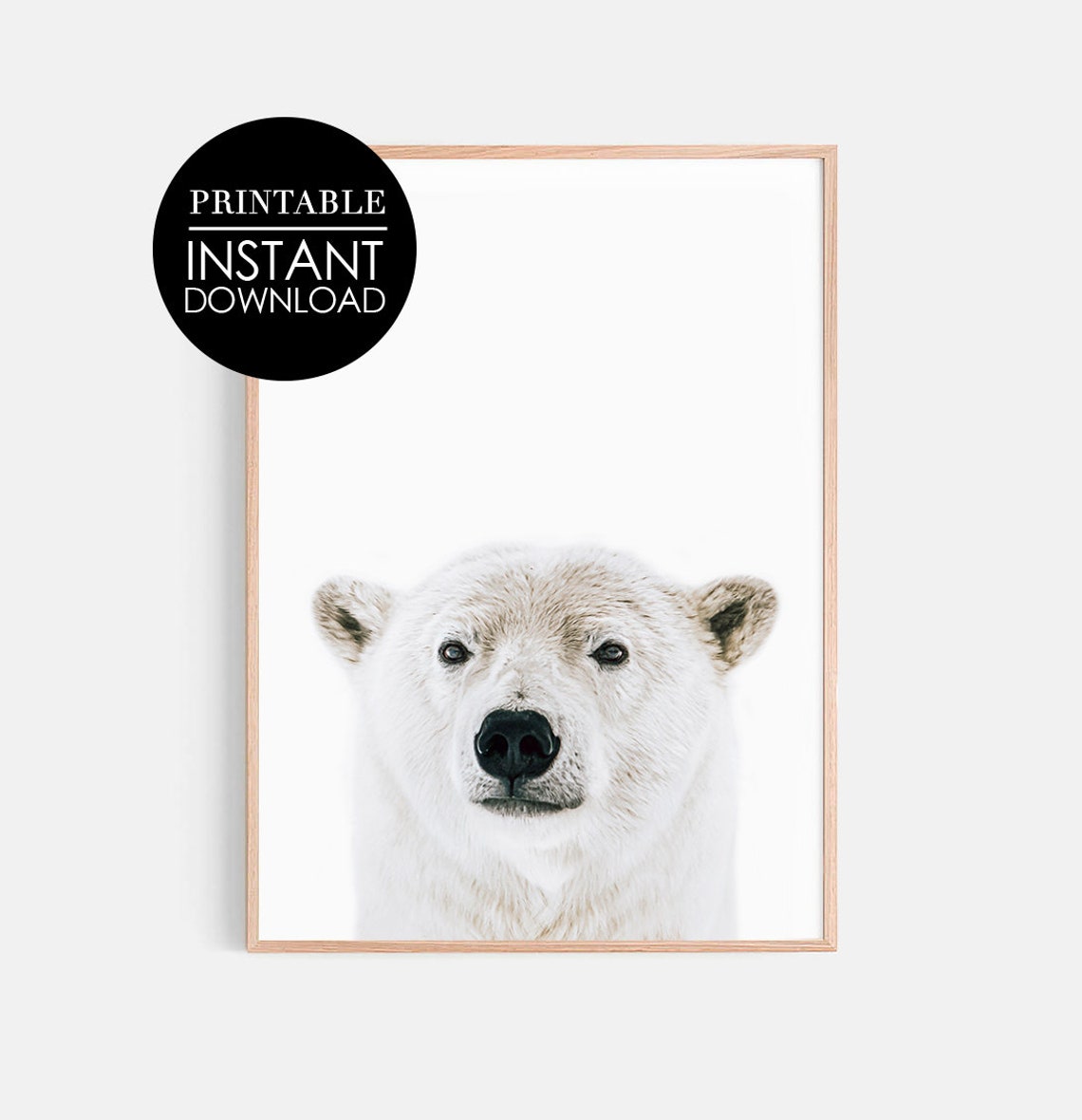Polar Bear Face Close Up Minimalist White Background Animal Poster