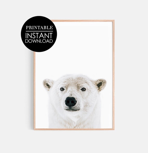 Polar Bear Print Poster Nursery Wall Art Decor Black White