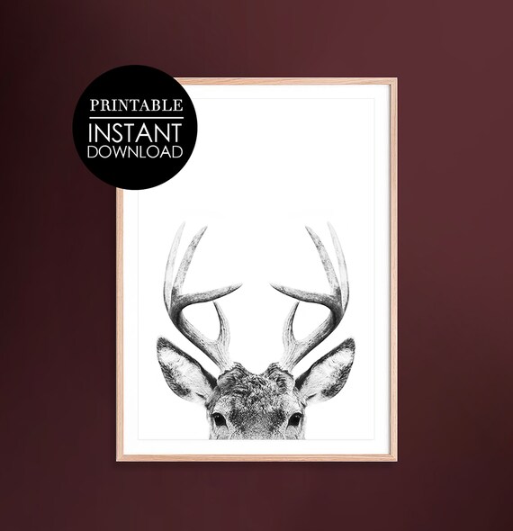 Black And White Deer Print Wall Art Decor Photography