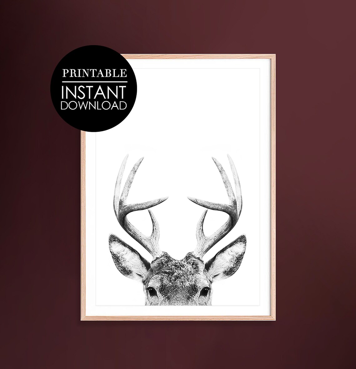 Black And White Deer Print Wall Art Decor Photography