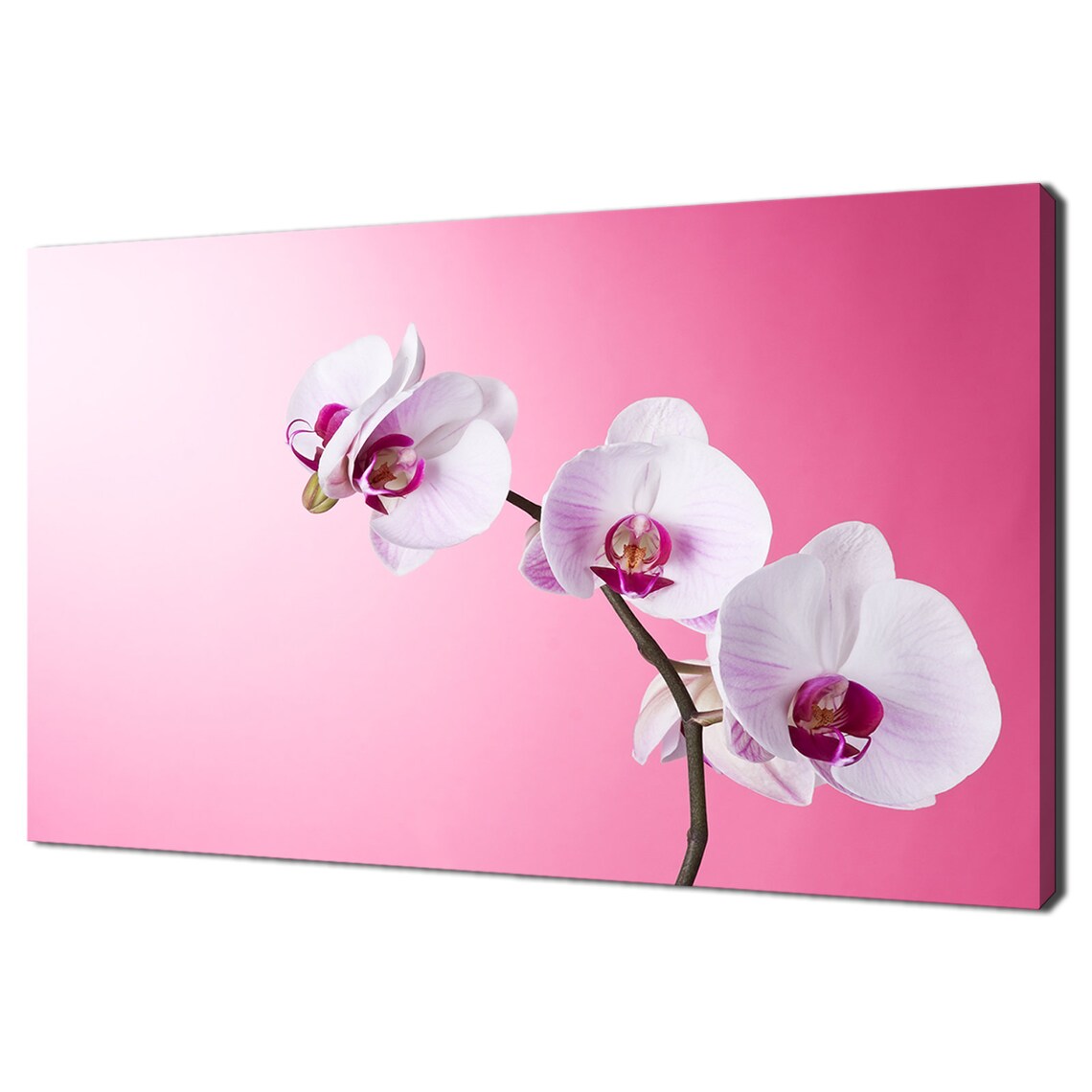 White Orchids, Modern Floral Design Art Print