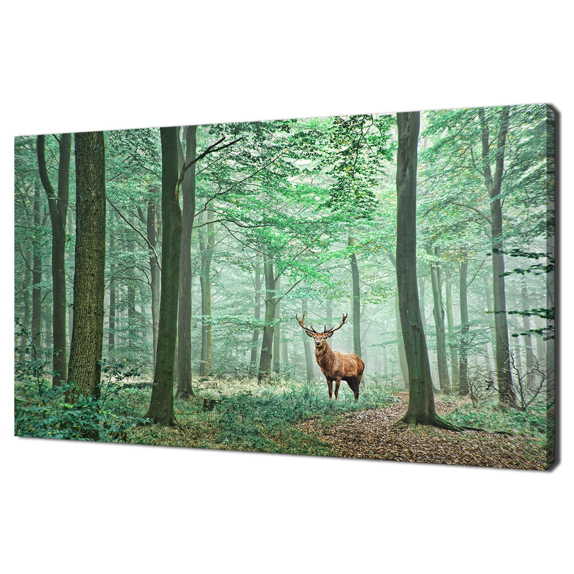 Red Deer Stag Forest Modern Design Art Print