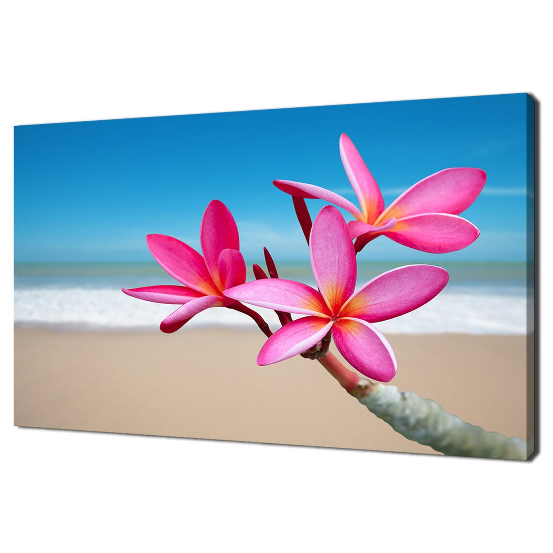 Pink Frangipani Plumeria Beach Floral Art Print