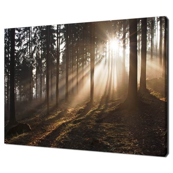 Foggy Forest Misty Rays Trees Modern Design Home Decor Print Wall Art Picture