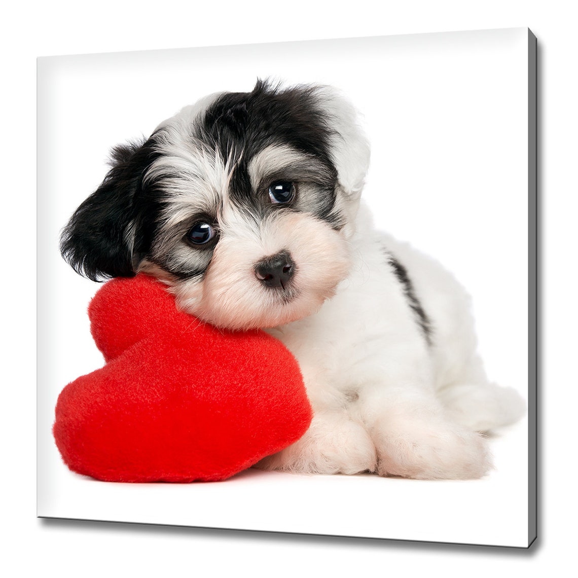 Cute Puppy Hugging Red Heart Valentines Puppy Love Wall Art Poster