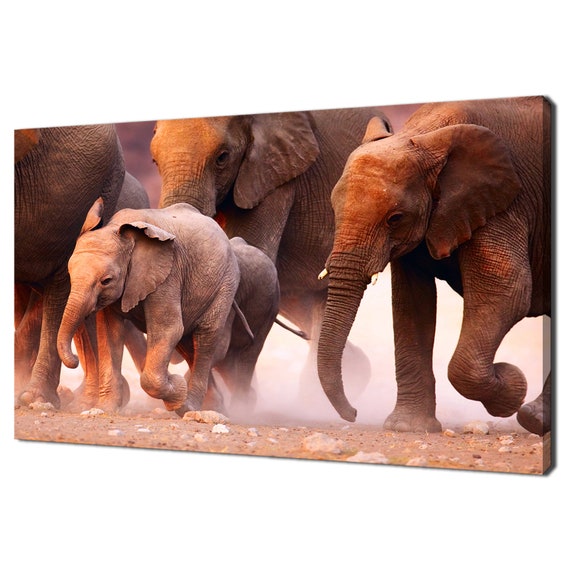 Herd Of Elephants Running In The Desert Art Print