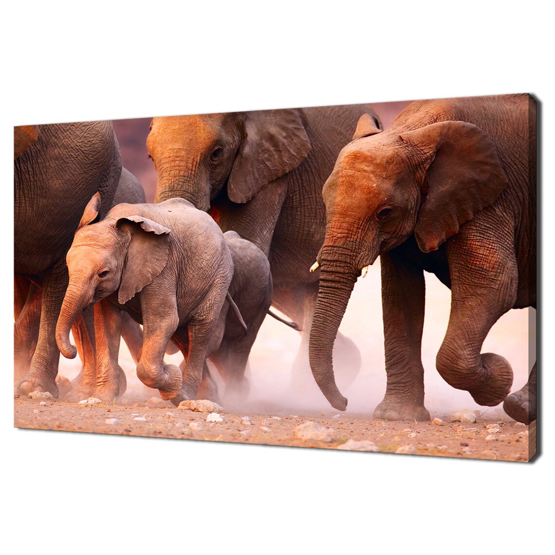 Herd Of Elephants Running In The Desert Art Print